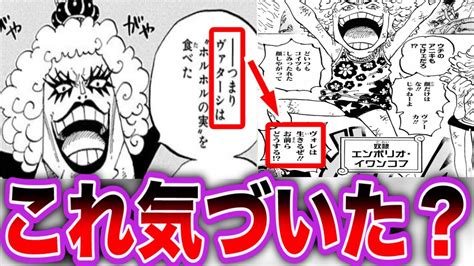 イワンコフ 美人|ワンピースの謎の女「イワンコフ」の真の力と秘められた過去